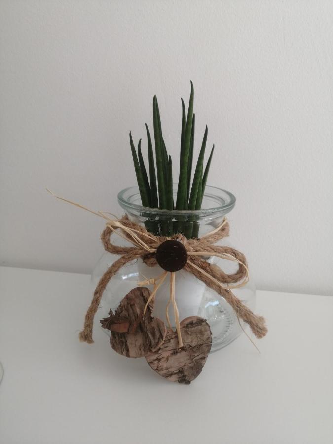 Apartma Pinea Πορτορόζ Εξωτερικό φωτογραφία