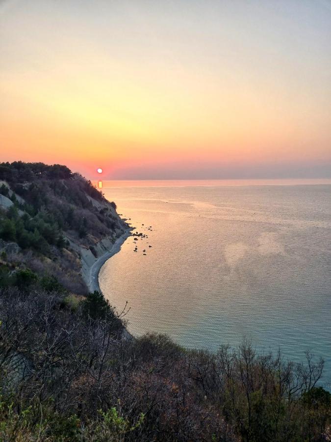 Apartma Pinea Πορτορόζ Εξωτερικό φωτογραφία